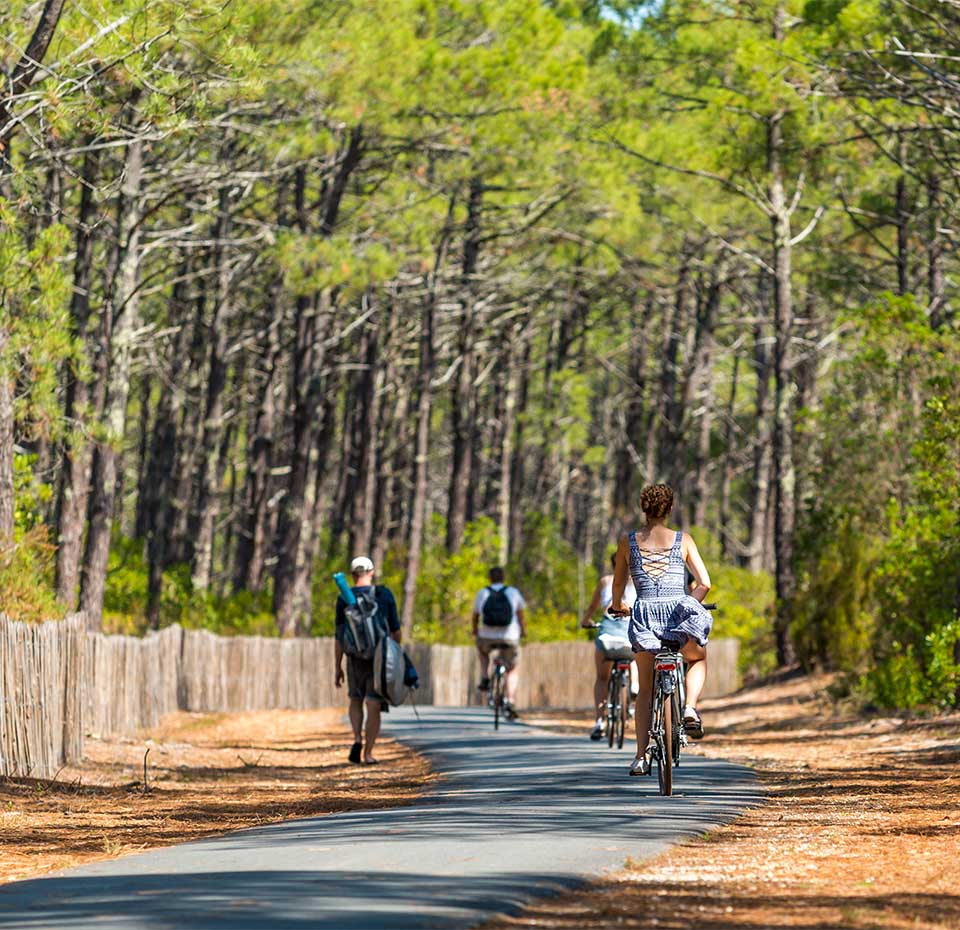 Discover Biscarrosse By Bike