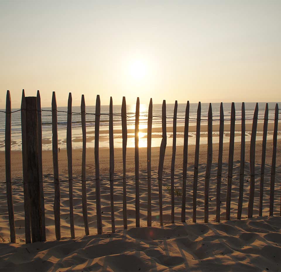 Les Visites Incontournables Biscarrosse