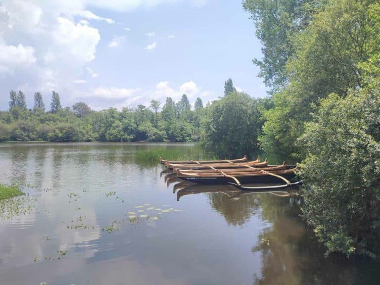 Etang d’Aureilhan