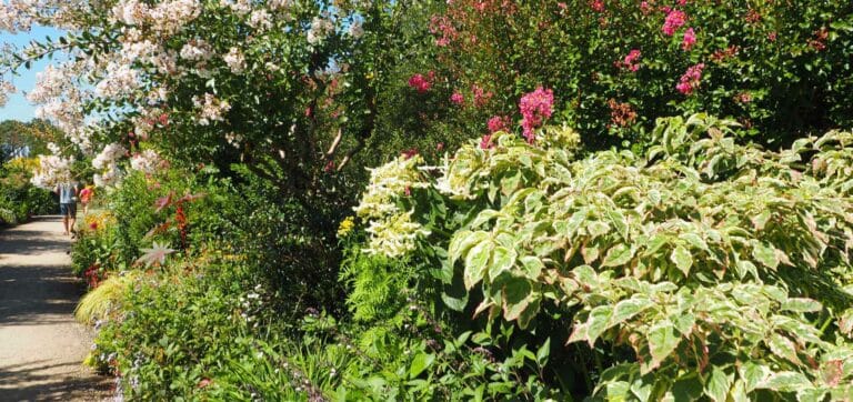 The Flower Walk in Mimizan