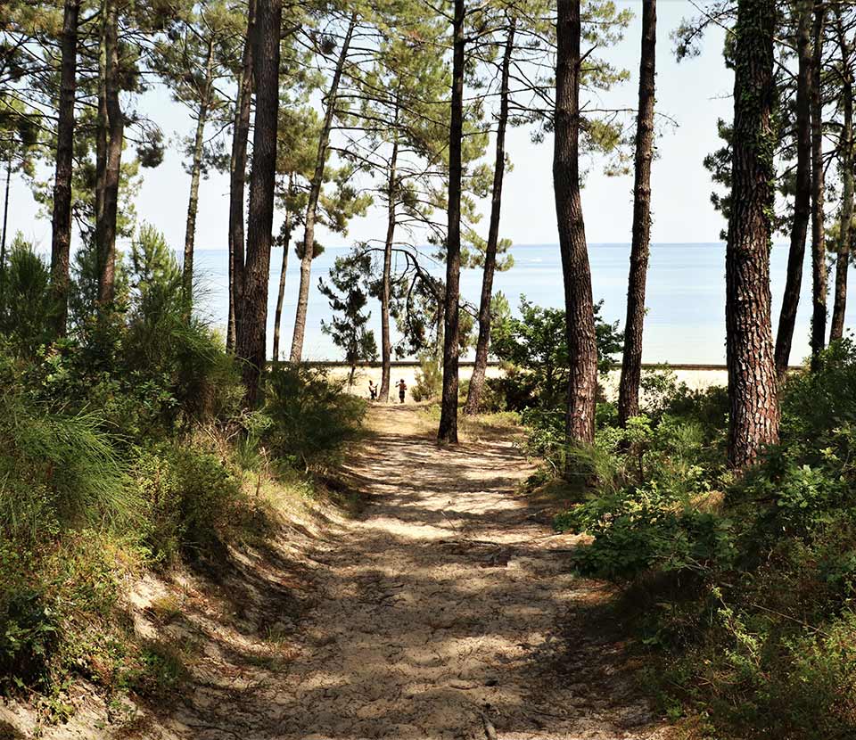 Sejour Prix Bas Pres De La Plage