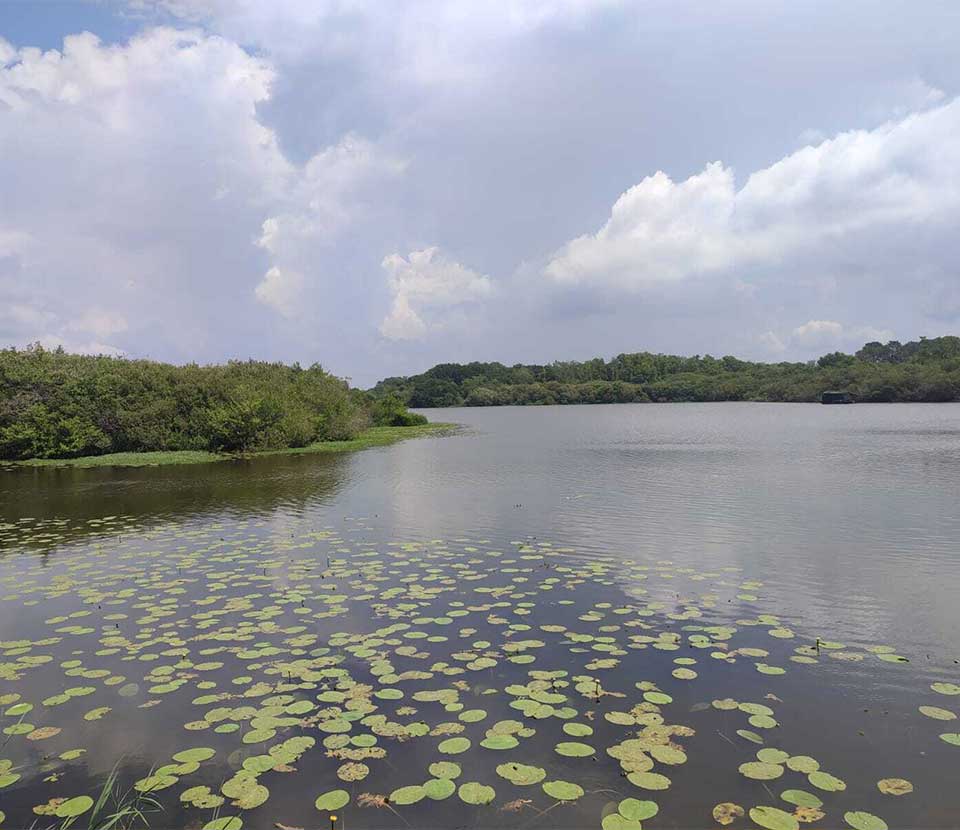 Tour Du Lac