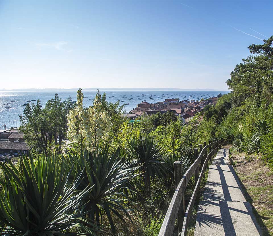 Visitez Les Landes Grâce Aux Bons Caf