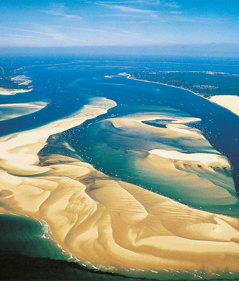 Banc Arguin Paradis Naturel