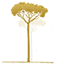 Favicon Arbre Dor