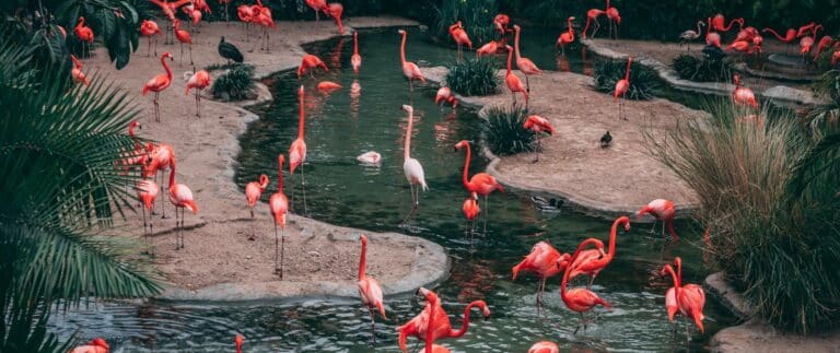 Labenne Zoo