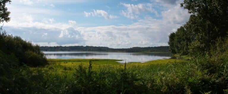 The Orx Marsh Nature Reserve