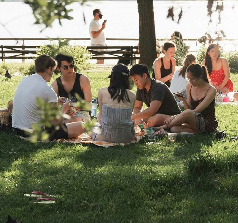 Picnic in the Landes