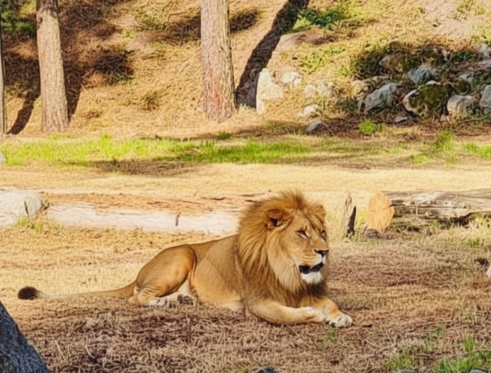 Zoo Du Bassin Darcachon