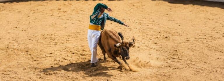 Course Landaise in the Landes: Where to See It Near the Campsite?